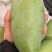 芒果