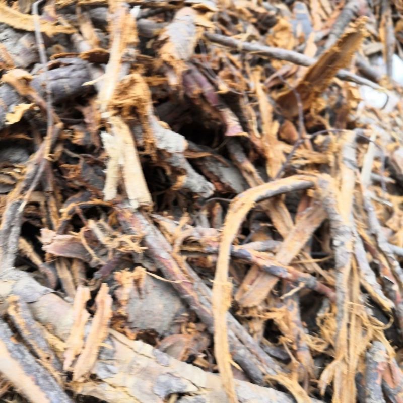 桃树皮野生桃树皮桃树干皮干货