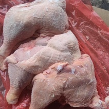 二级种鸡边腿20吨