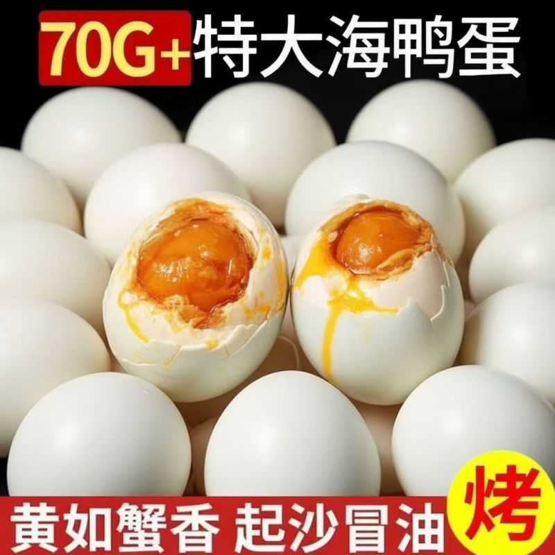 《海鸭蛋》源头工厂零售批发全国一件代发欢迎来电咨询