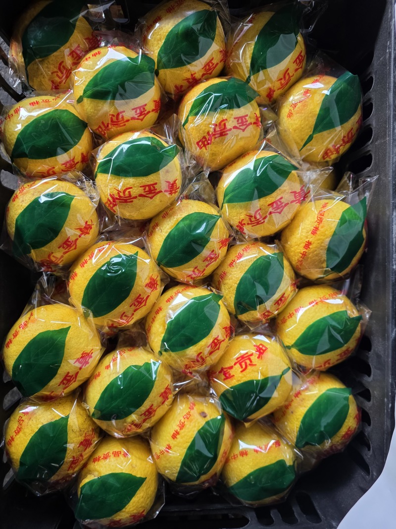 100万斤精品黄金贡柚#70以上精品果