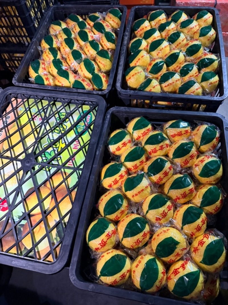 100万斤精品黄金贡柚#70以上精品果