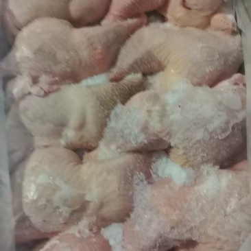 种鸡边腿一级