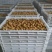 竹虫成品虫货量充足价格实惠量大从优对接全国市场欢迎来电