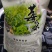 藤茶，又是霉茶，古有更好的名字，青霉古藤茶，具有很高的可