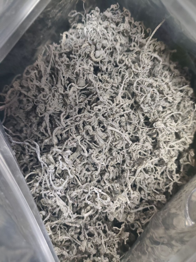 藤茶，又是霉茶，古有更好的名字，青霉古藤茶，具有很高的可