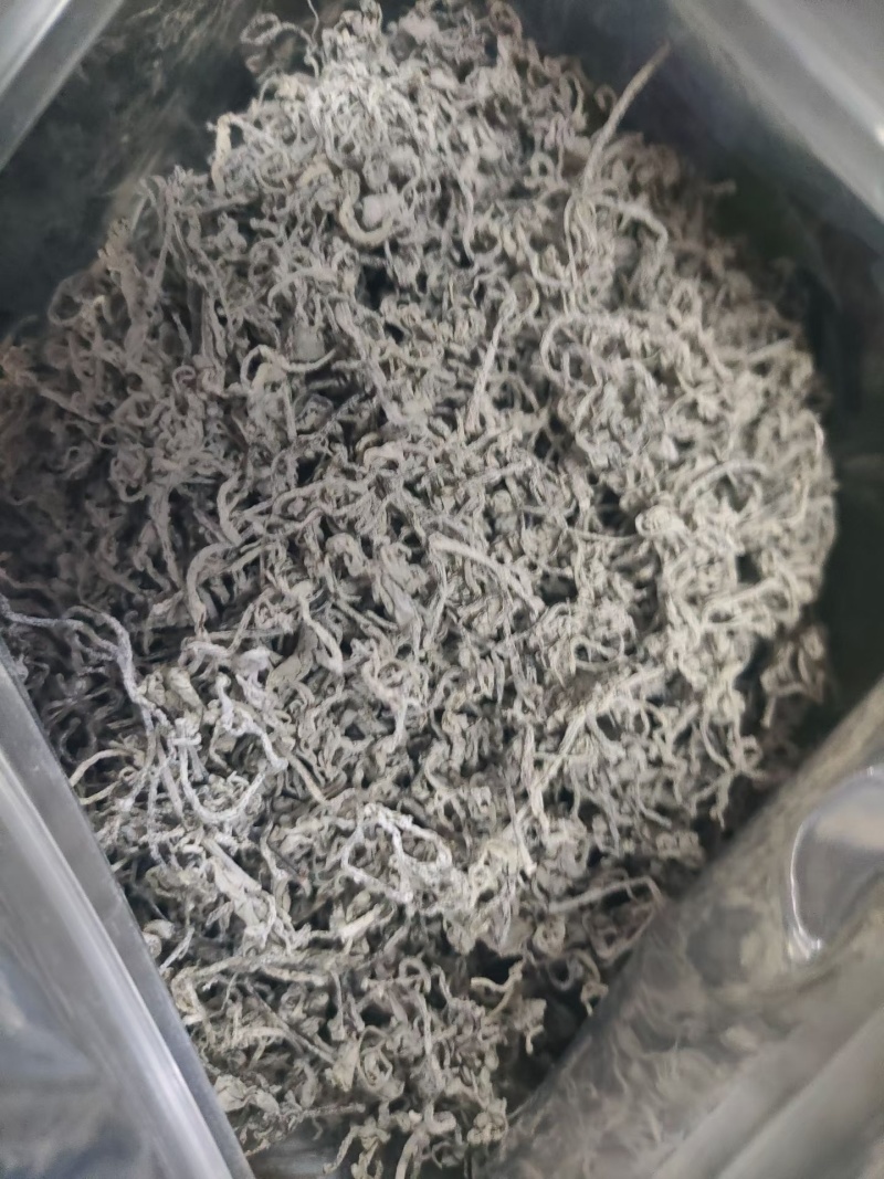 藤茶，又是霉茶，古有更好的名字，青霉古藤茶，具有很高的可