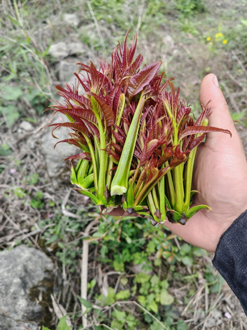 香春