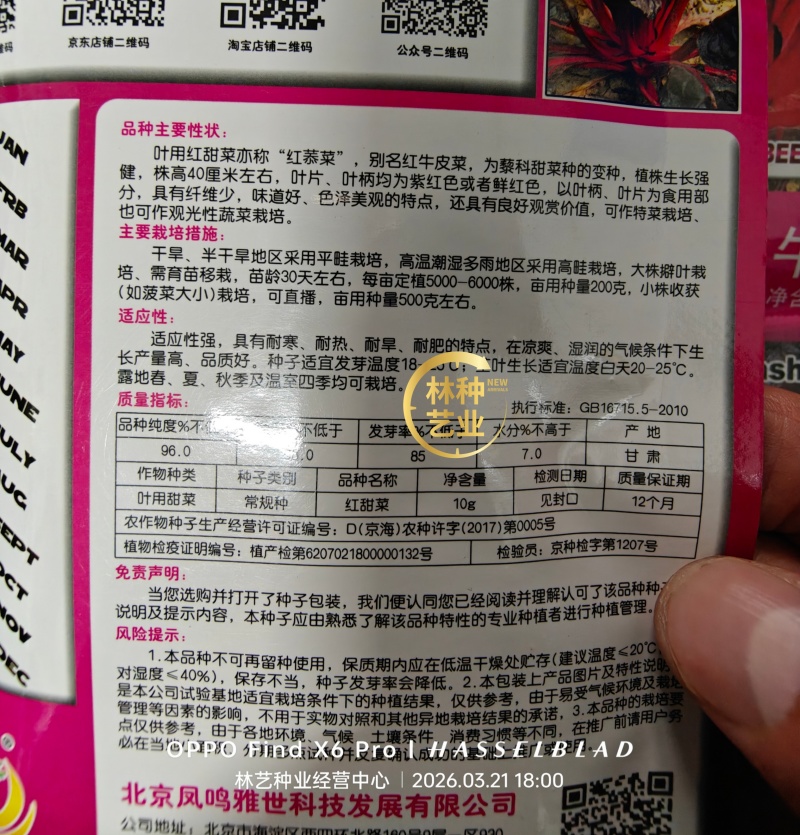 红甜菜红牛皮菜种子根达菜莙荙菜种籽春秋四季播农家蔬菜种