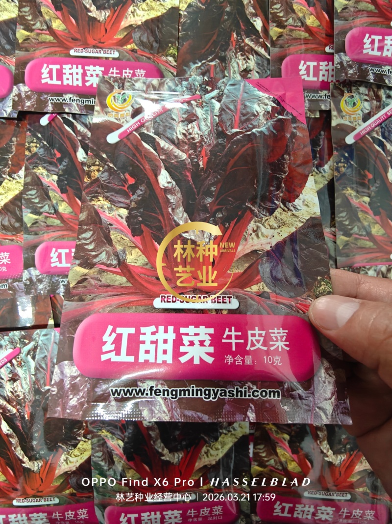 红甜菜红牛皮菜种子根达菜莙荙菜种籽春秋四季播农家蔬菜种