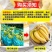 云南高山香蕉产地直供大量现货香甜软糯品质保证