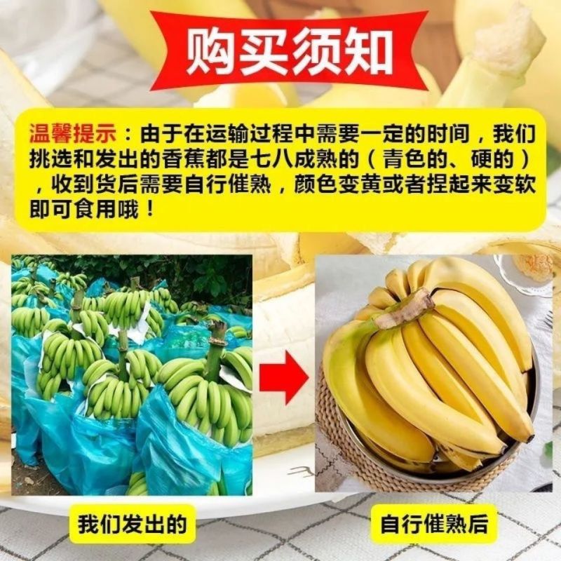 云南高山香蕉产地直供大量现货香甜软糯品质保证