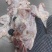 牛碎肉7一斤大量现货冷链物流全国发货