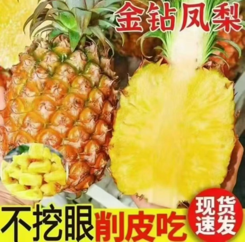 专业一件代发海南金钻凤梨现摘现发供应各大平台电商！！！