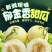 郁金香小香瓜