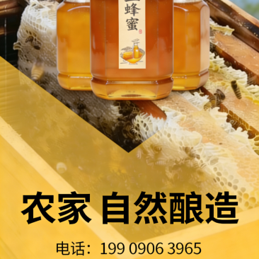 自己家春季秋季养的土蜂蜂蜜来自四川遂宁拦江夏哥土蜂蜜