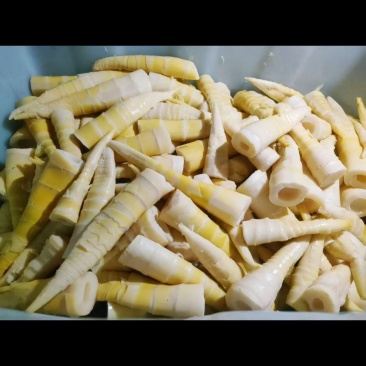 自家竹笋，量大，价格优