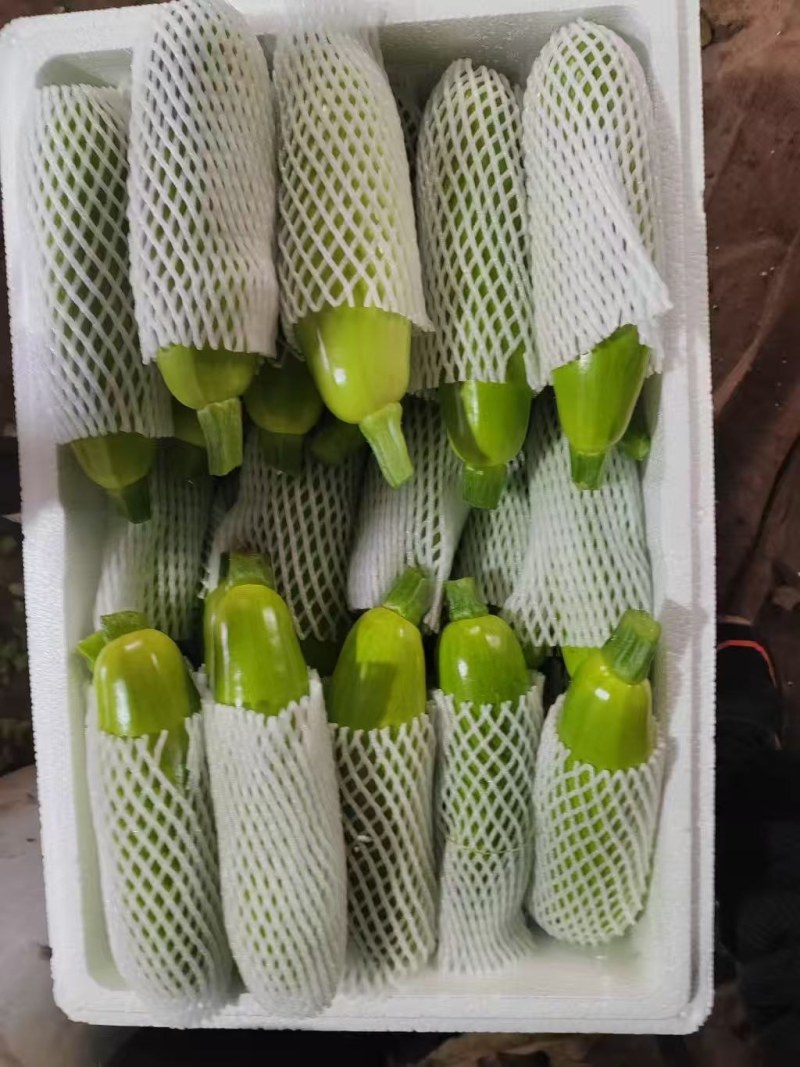 精品西葫芦，绿皮油亮西葫芦，大量现货保质保量，商超市场可