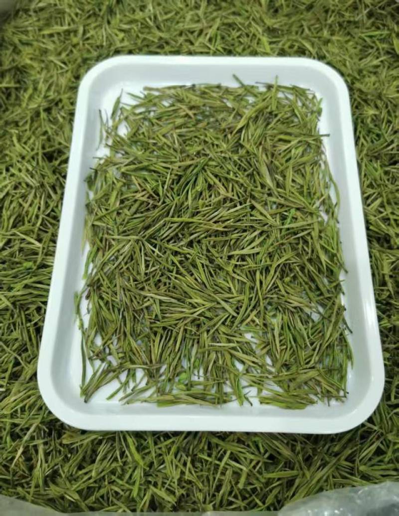 高山白茶