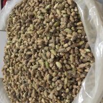 野生苍耳子质量保证货源充足量大从优质量保证欢迎咨询