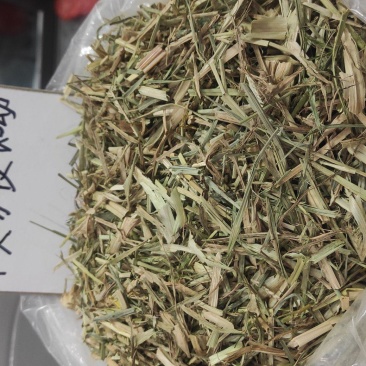 牛筋草干货货源充足质量保证量大从优欢迎咨询