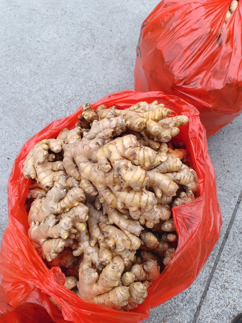 湖南二号黄姜，湖南双牌黄姜