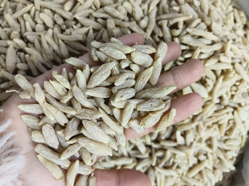 麦冬四川麦冬湖北麦冬规格齐全产地一手货源
