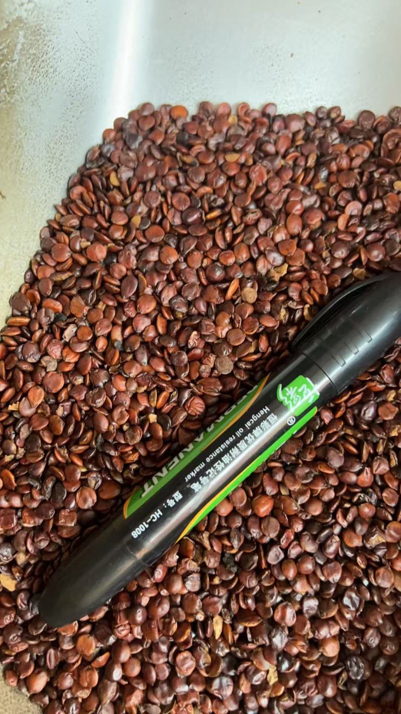 正品酸枣仁酸枣仁泡茶熟酸枣仁粉中药材野生酸枣仁睡眠安舒茶