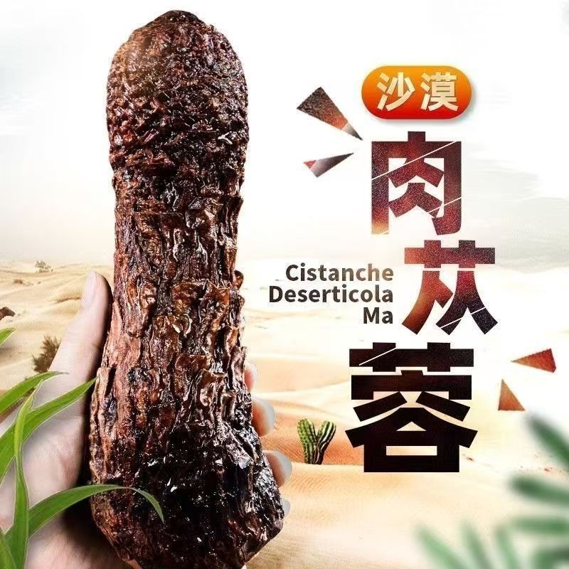 野生肉苁蓉阿拉善补阳壮肾油从容切片正宗泡水泡茶泡酒料油蓉