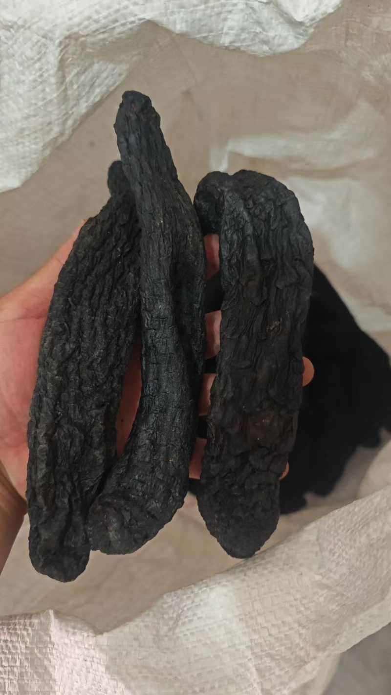 野生肉苁蓉阿拉善补阳壮肾油从容切片正宗泡水泡茶泡酒料油蓉