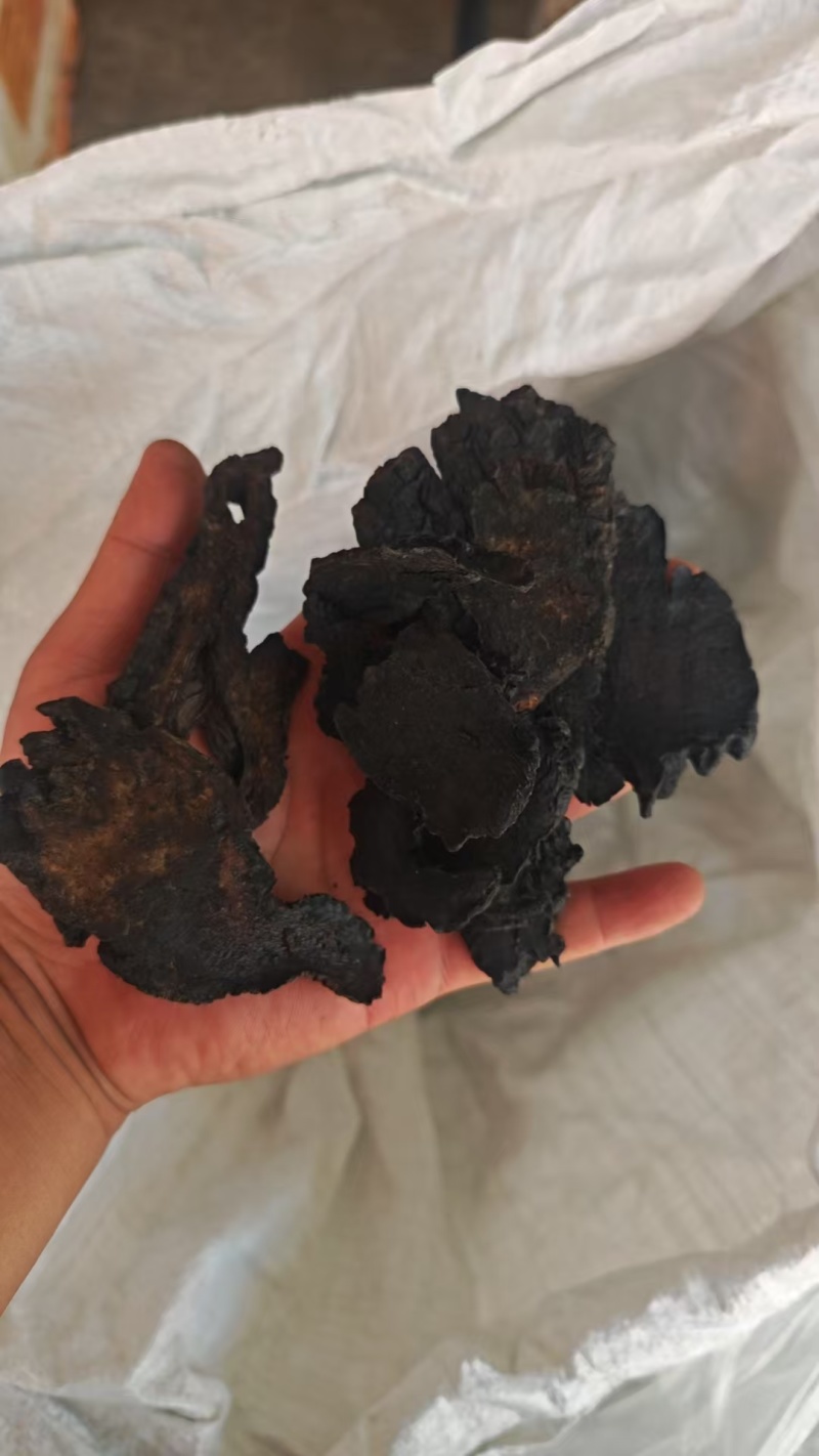 野生肉苁蓉阿拉善补阳壮肾油从容切片正宗泡水泡茶泡酒料油蓉