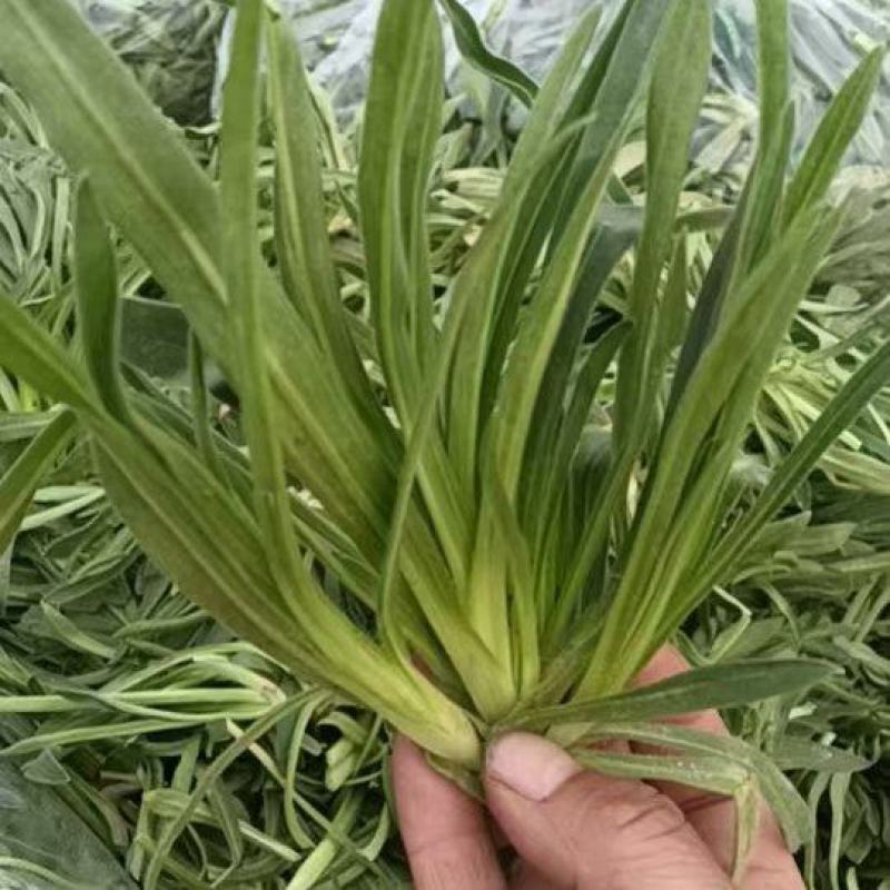 精品面条菜，市场，电商，团购