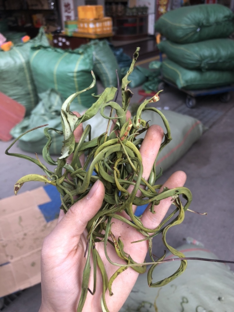 化石草肾精茶一手货源。大货批发支持批发零售需要联系