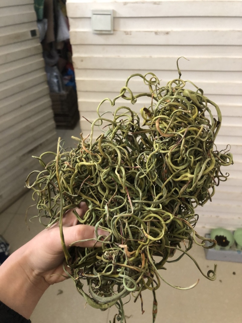 化石草肾精茶一手货源。大货批发支持批发零售需要联系