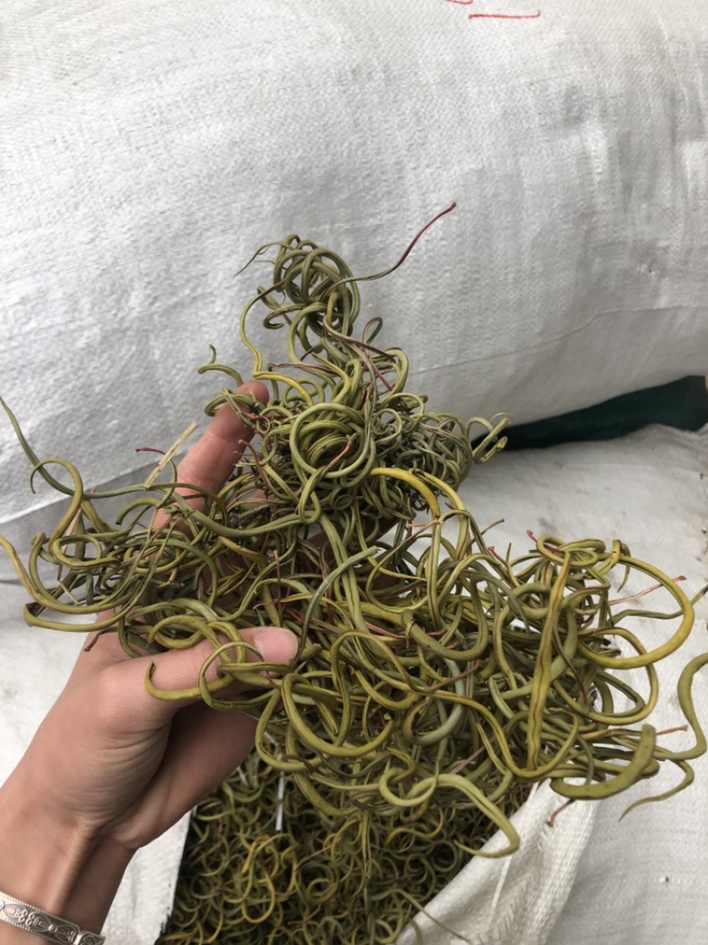 化石草肾精茶一手货源。大货批发支持批发零售需要联系