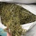 化石草肾精茶一手货源。大货批发支持批发零售需要联系
