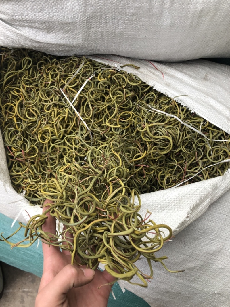 化石草肾精茶一手货源。大货批发支持批发零售需要联系