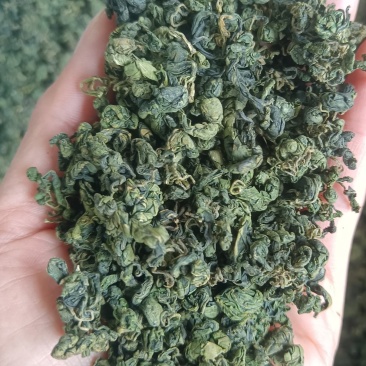 广西金秀野生绞股蓝现货3000斤