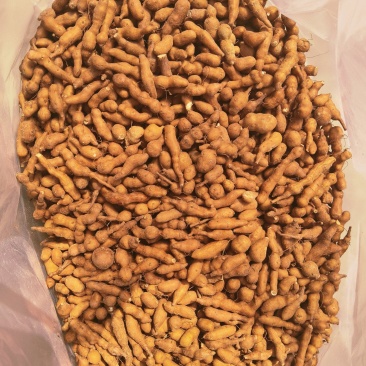 青海省互助土族自治县精品蕨麻