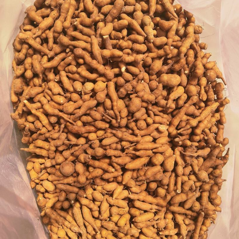 青海省互助土族自治县精品蕨麻