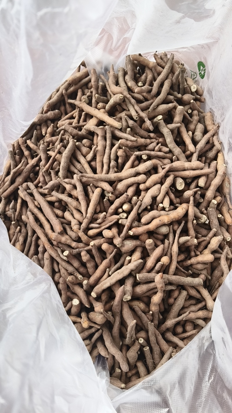 青海省互助土族自治县精品蕨麻