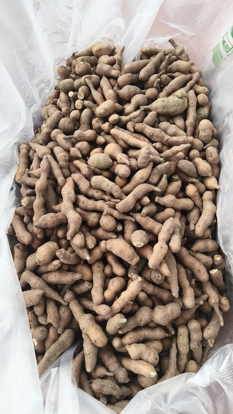 青海省互助土族自治县精品蕨麻