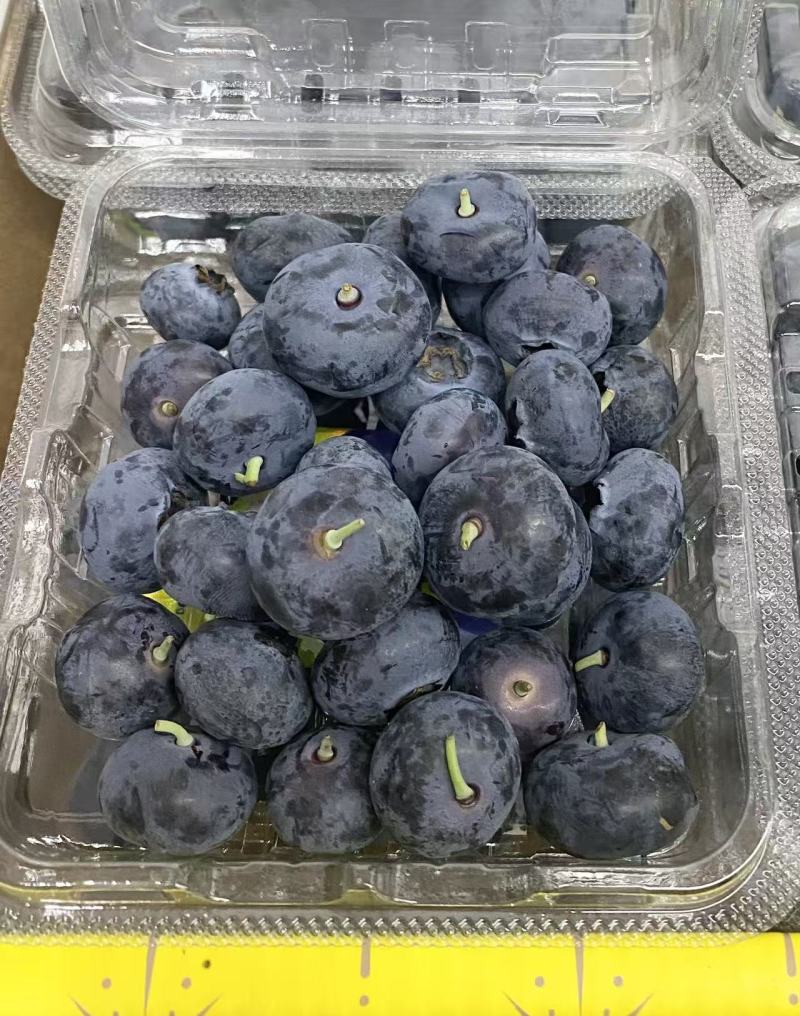 花香蓝莓F6,L2515+18+三保供货