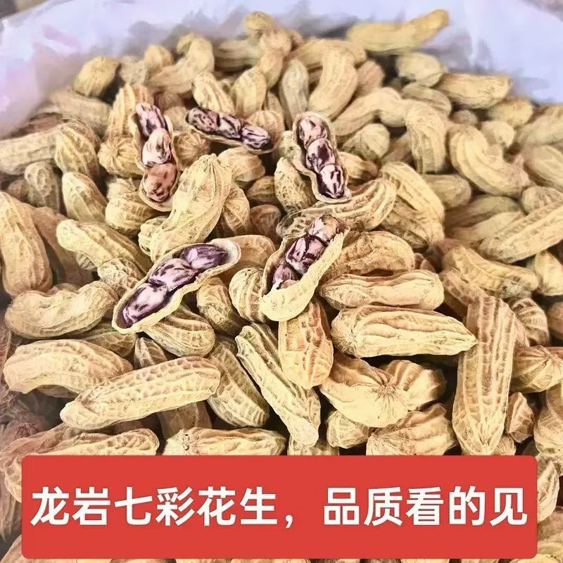 精品七彩花生