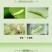 东信5%阿维菌素乳油杀虫剂甘蓝小菜蛾正品农药批发