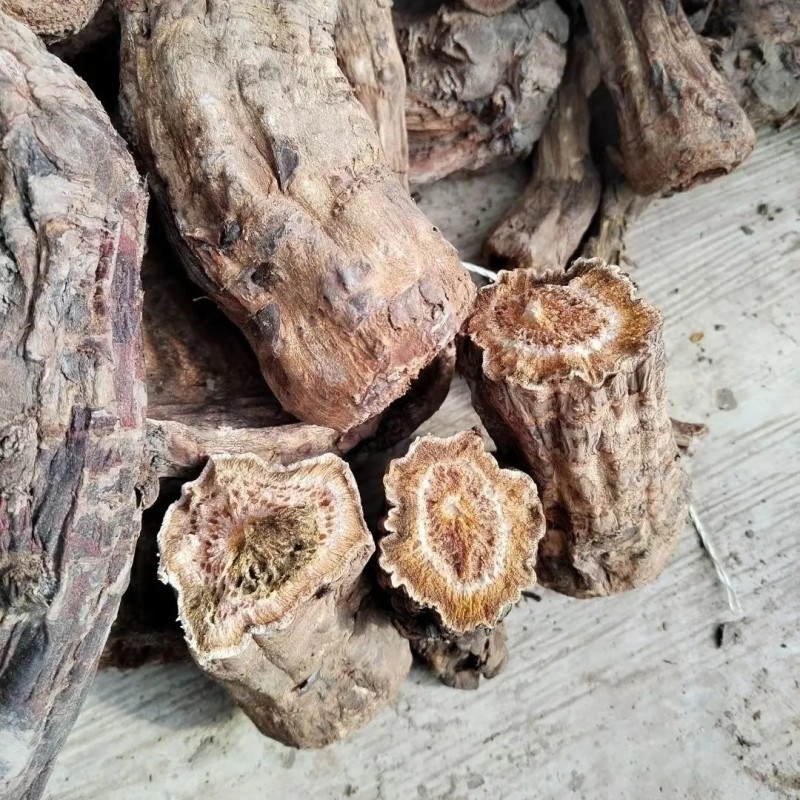 甘肃中草药大黄整颗三年生正品农产品天然新货原汁原味***