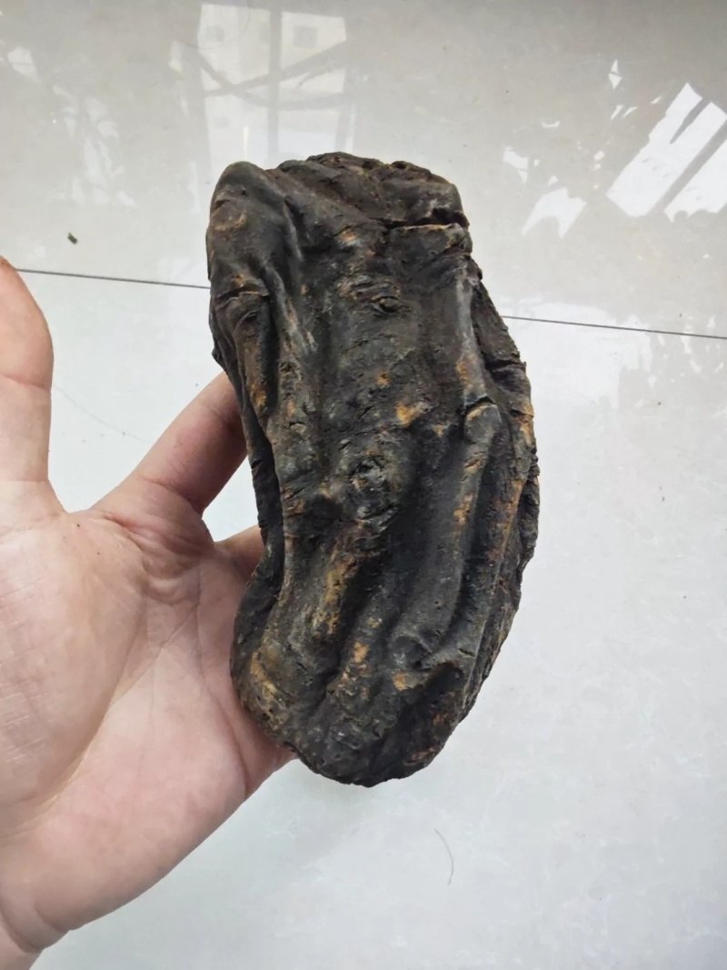 甘肃中草药大黄整颗三年生正品农产品天然新货原汁原味***