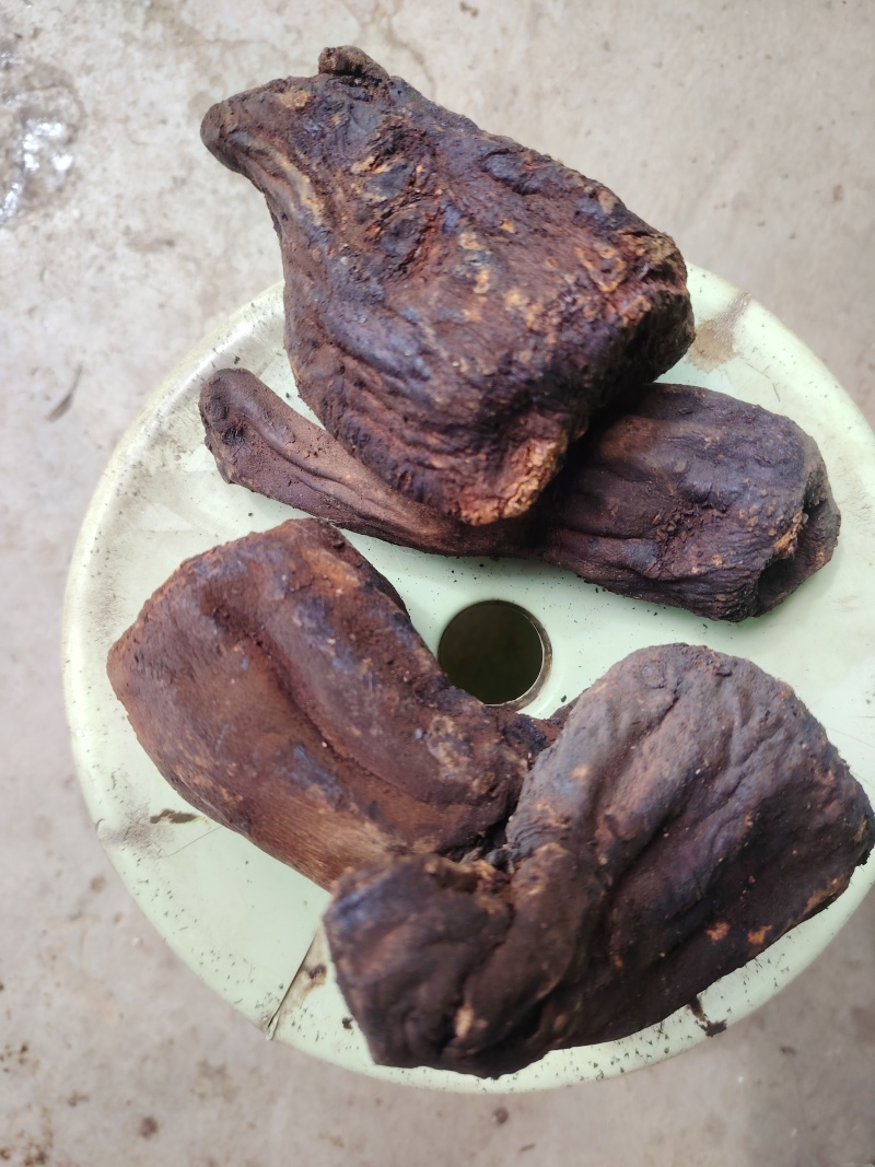 甘肃中草药大黄整颗三年生正品农产品天然新货原汁原味***