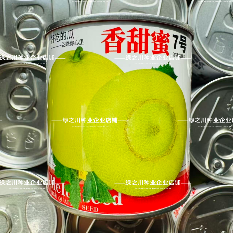 香甜蜜7号甜宝甜瓜种子超甜甜蜜宝香瓜种籽薄皮瓜香味浓特甜