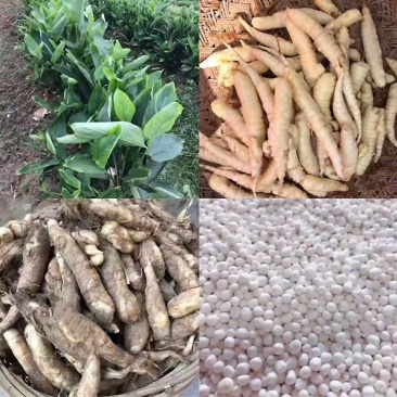 潮汕冬京丸东京丸东京薯丸竹薯丸甜品辅料纯正冬京薯丸